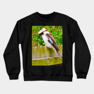 The Kookaburra ! Crewneck Sweatshirt